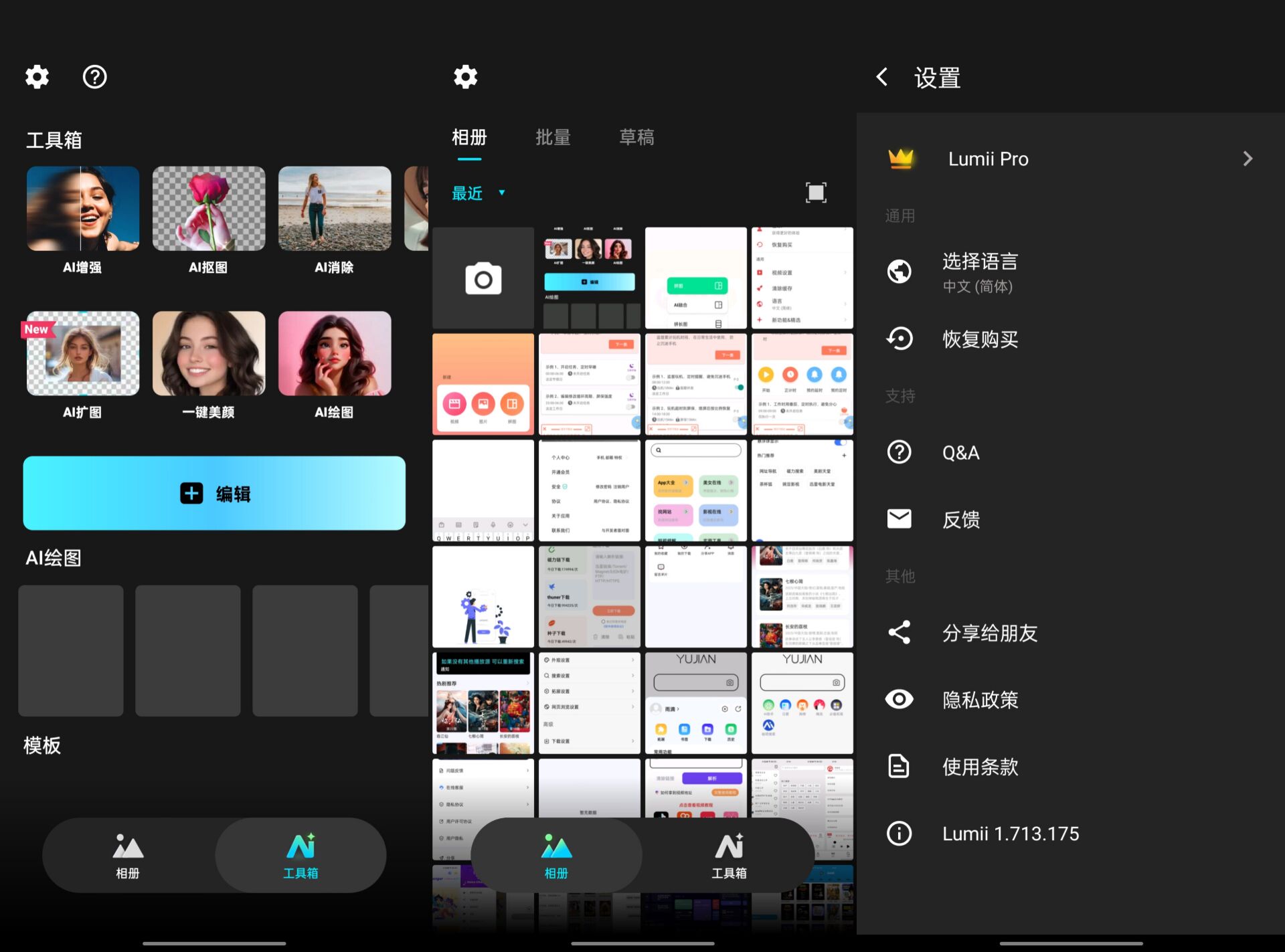 Lumii图片编辑v1.713.175专业版 47