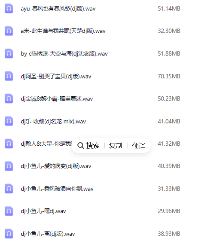 2025年车载必备326首抖音DJ嗨曲精选合集